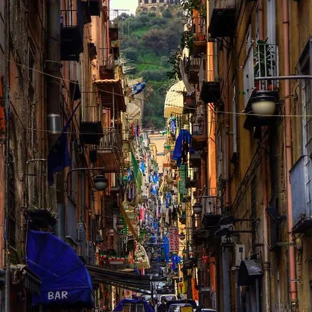 Antos 013 * Napoli